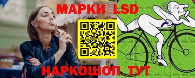 шишки Новозыбков