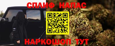 шишки Новозыбков