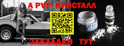 шишки Новозыбков