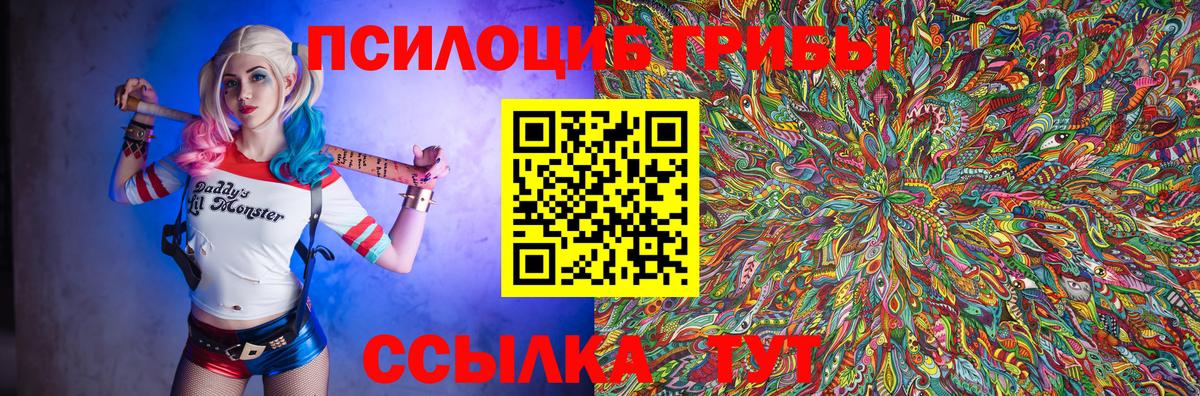 Псилоцибиновые грибы Psilocybine cubensis Соликамск