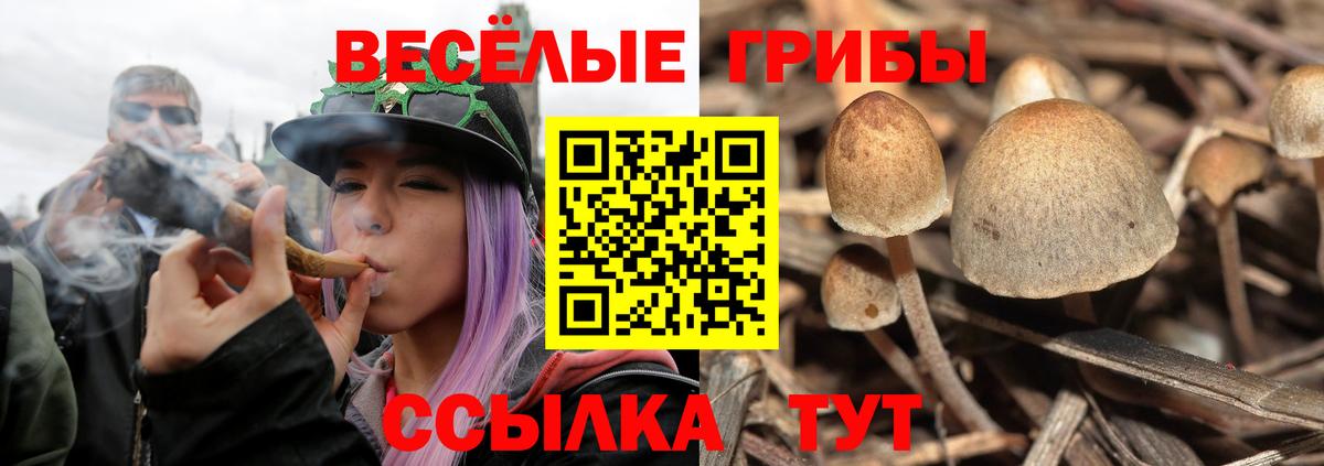 Галлюциногенные грибы Magic Shrooms  Галлюциногенные грибы прущие грибы  Соликамск  Вход с VPN 